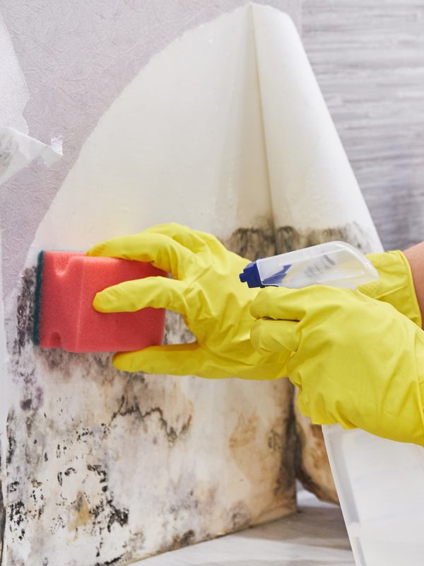 Close-up Of A Shocked Woman Looking At Mold On Wall